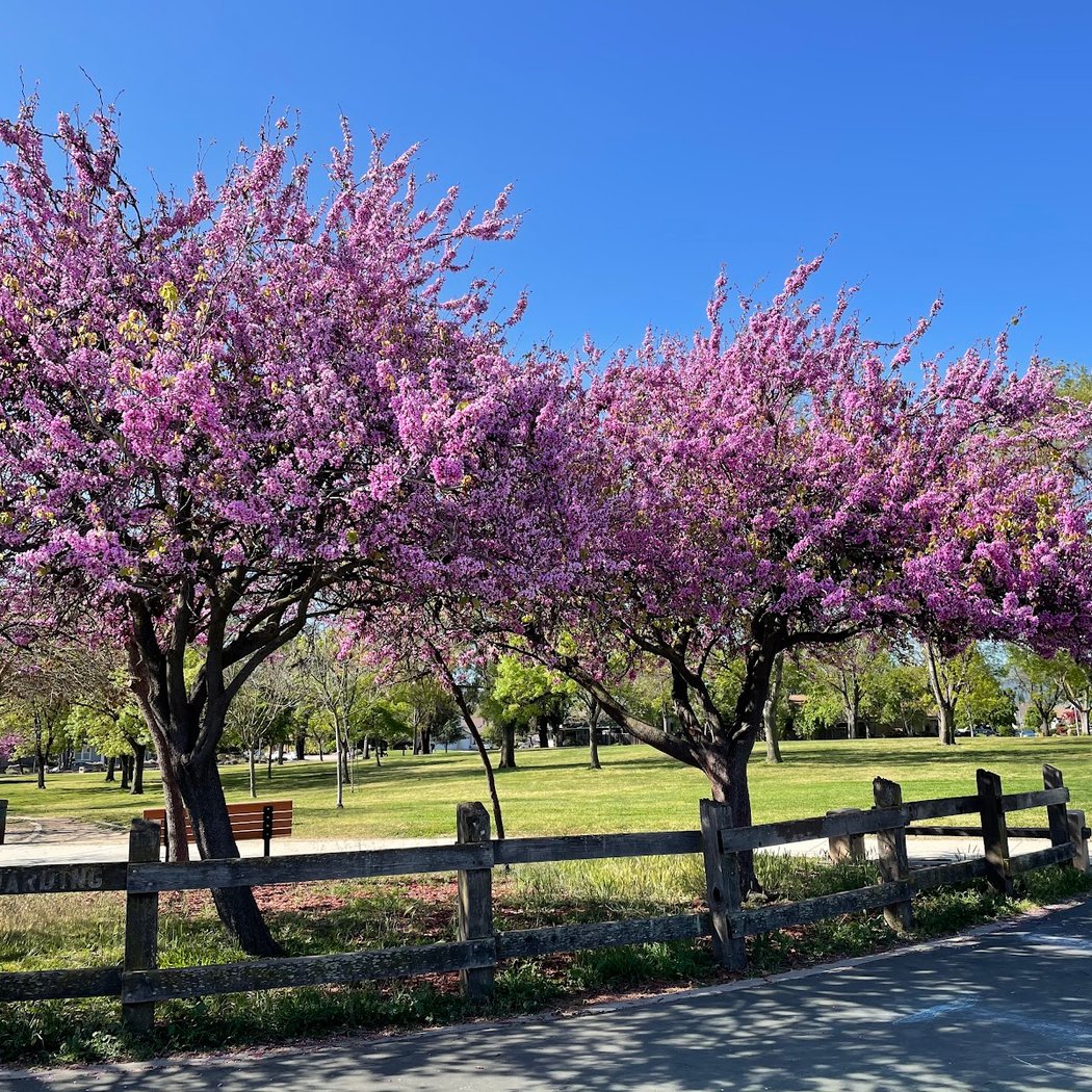 Houge Park 1