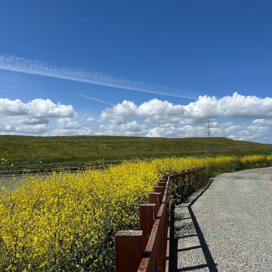 Sunnyvale Bay Trail 1