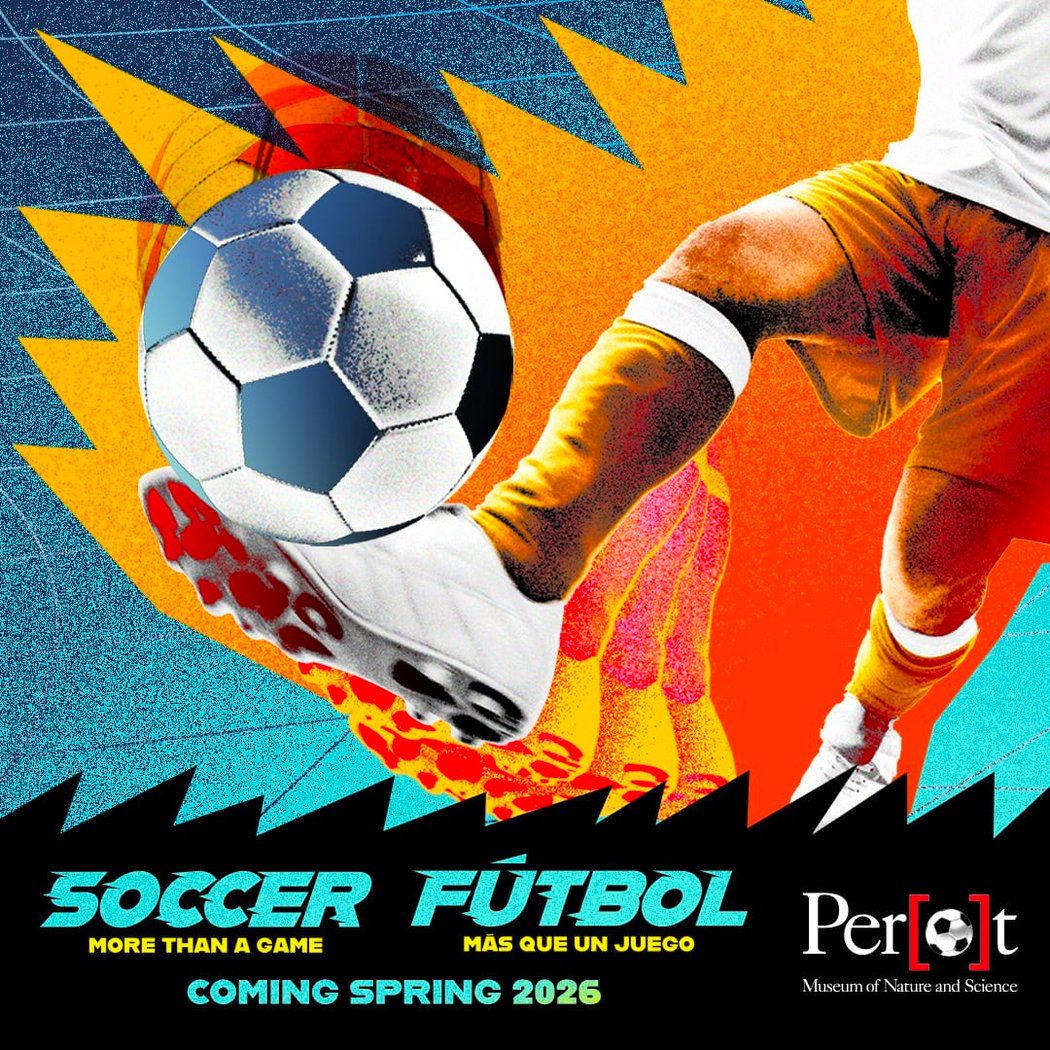 Soccer: More Than a Game 1