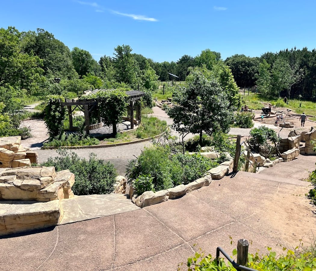 Tamarack Drop-In Discoveries: Garden Party 3