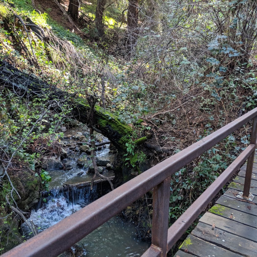 Leona Lodge 2