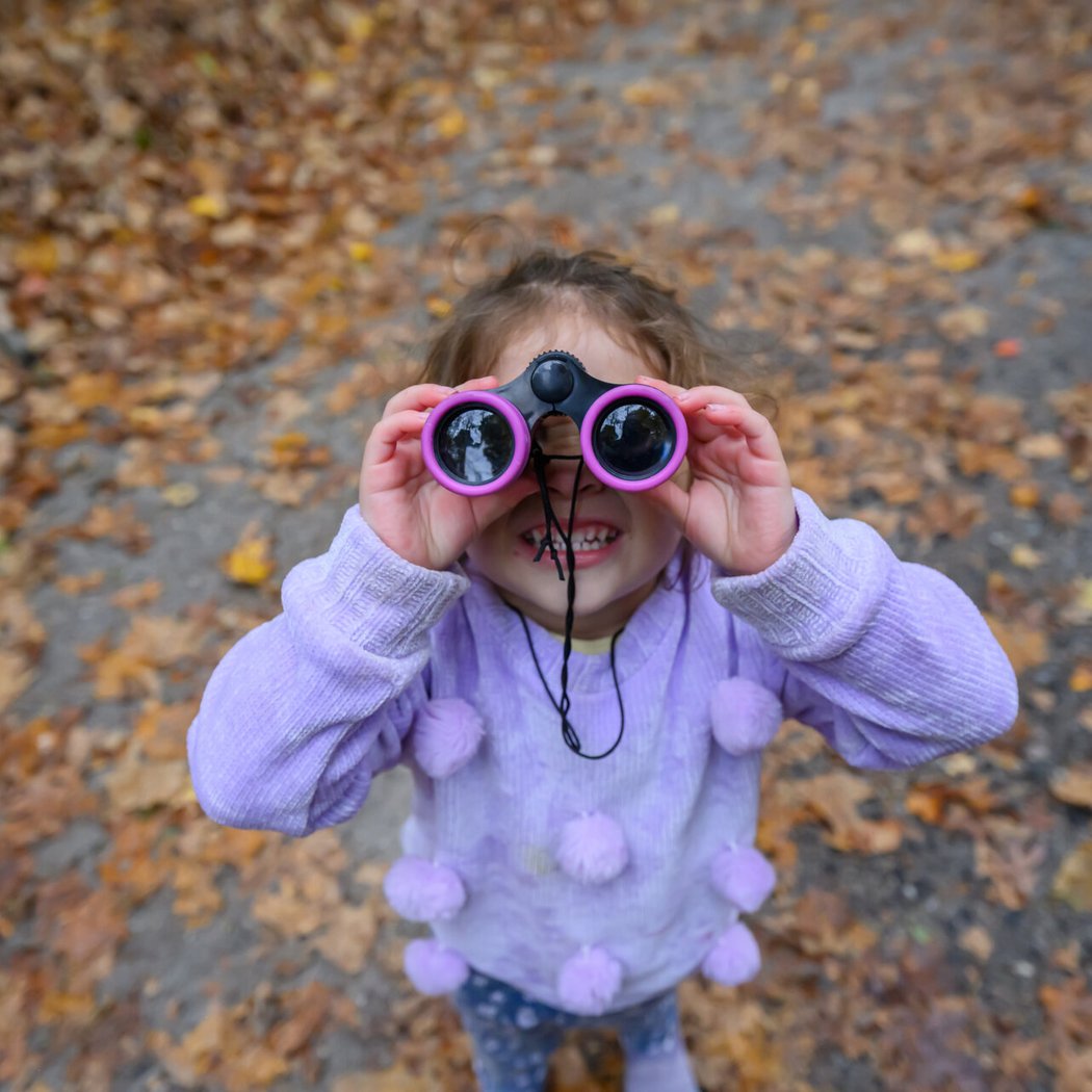 Nature Time Stories: Fall Migration 1