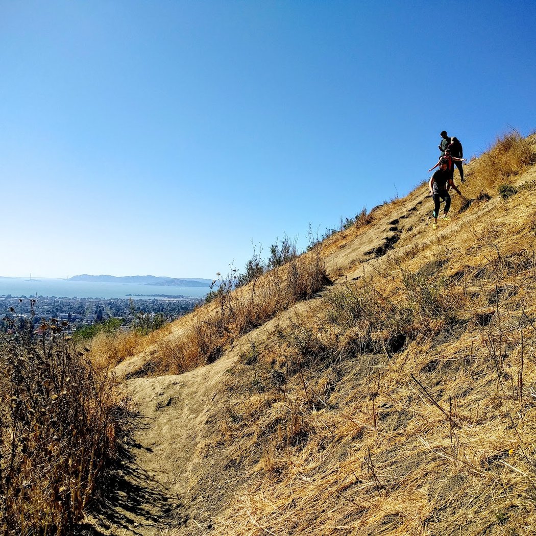 Claremont Fire Trail 1
