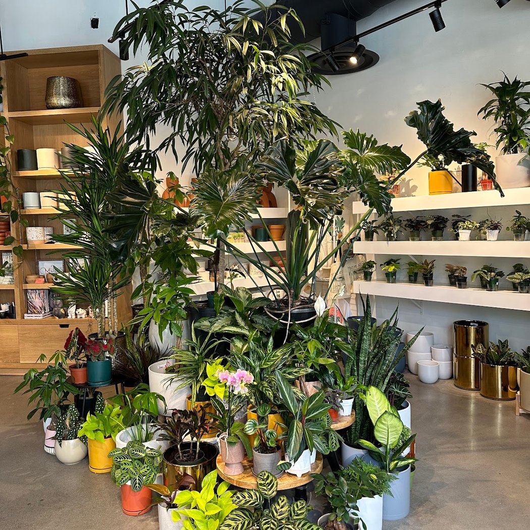 Plant, Play & Jam Kids Workshop 2