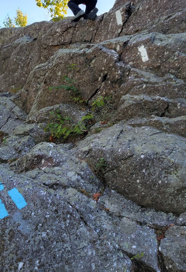 Cat Rocks 3