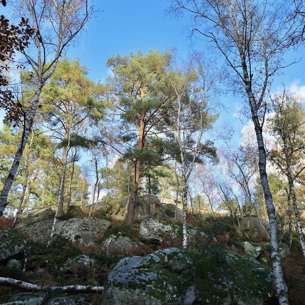 Gorges et Platières d'Apremont 1