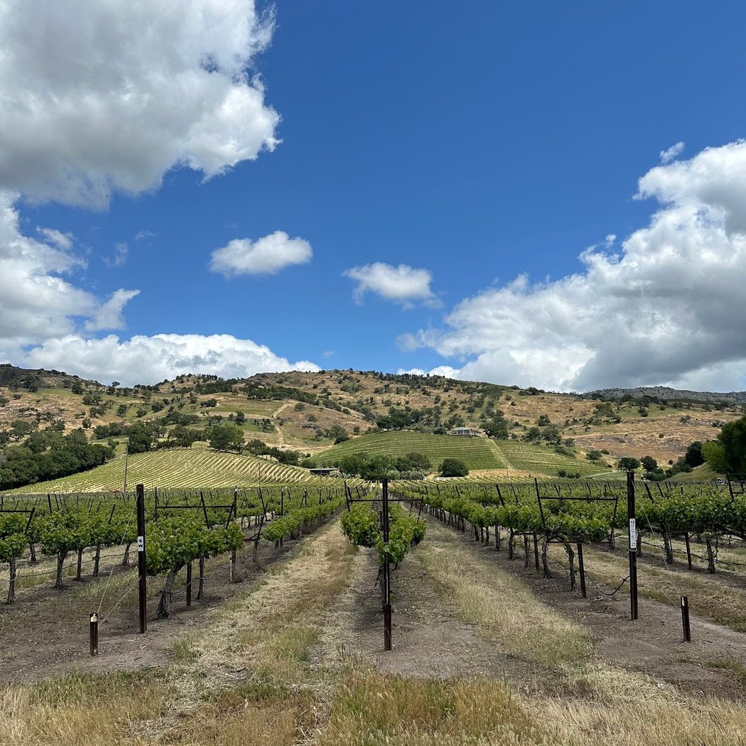 Chimney Rock Winery 3