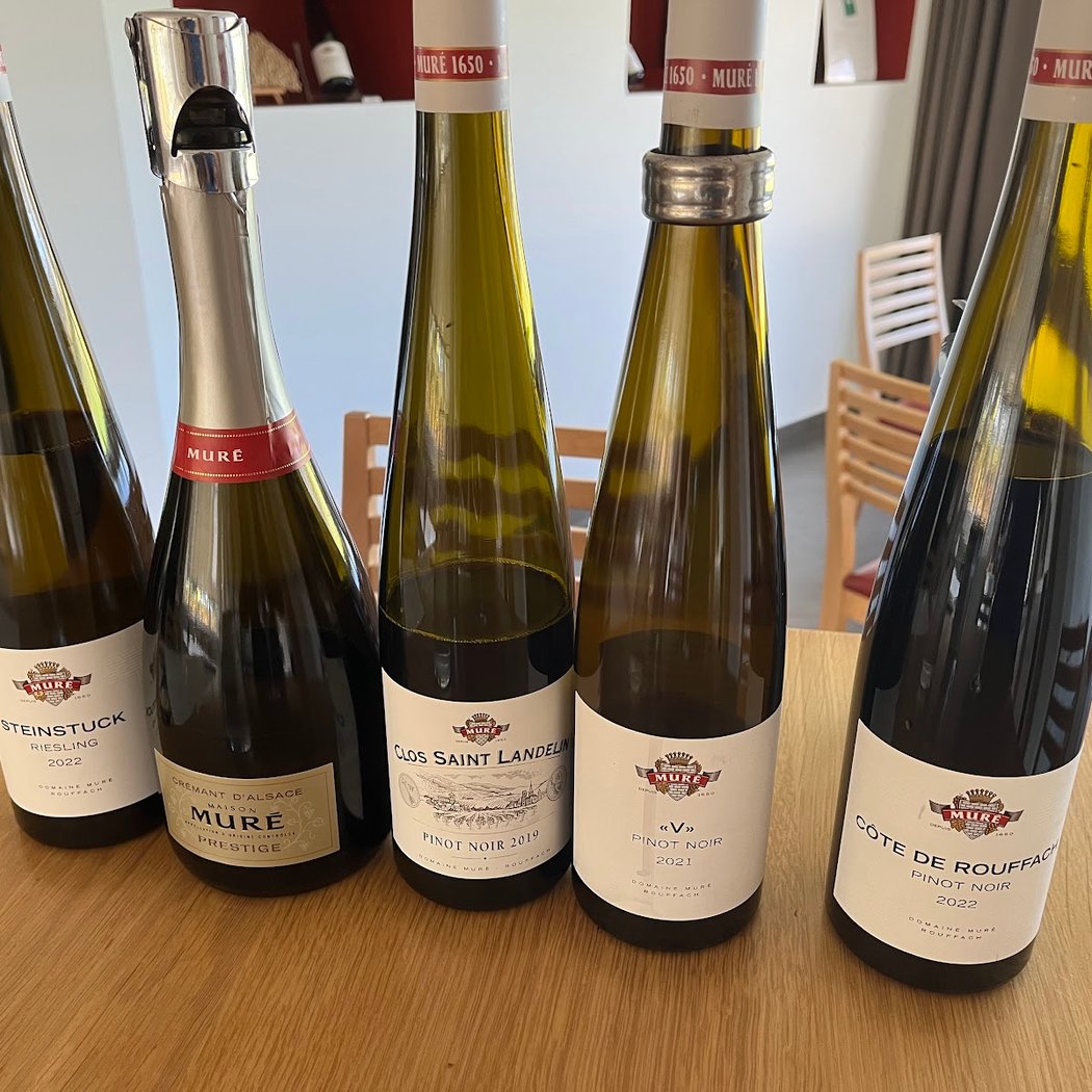 Clos St Landelin - Veronica and Thomas Muré 3