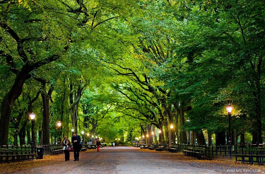 Central Park West 1