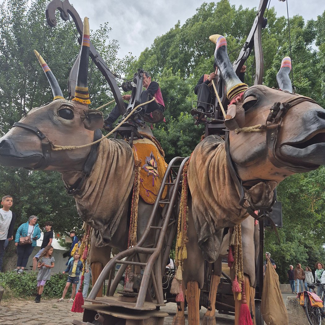 Fleuves en fête 1