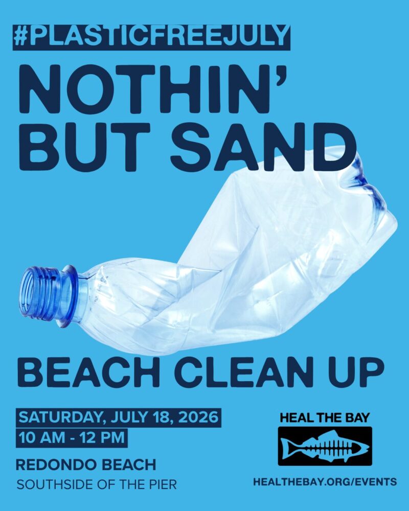 July Nothin’ But Sand Beach Clean Up 1
