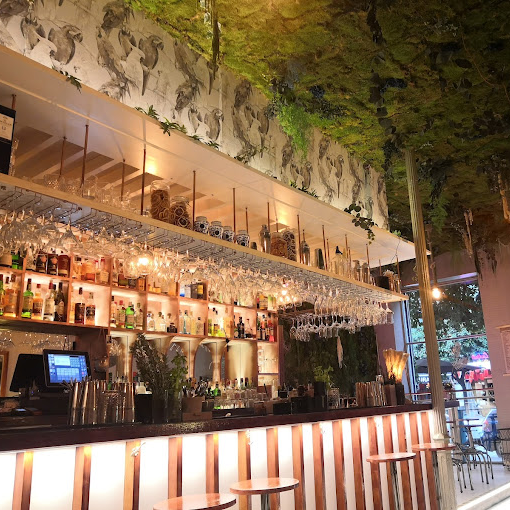 Chaman Cocktail Bar 2