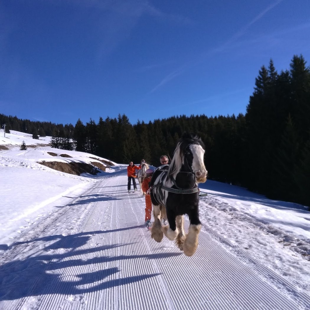 Avoriaz Ski Joëring 2