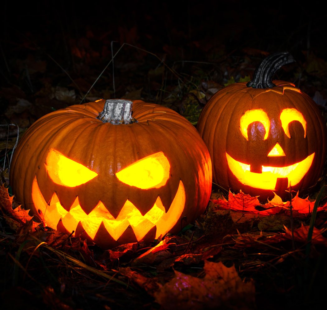 Trick or Treat in the Woods: Riverview Farmstead