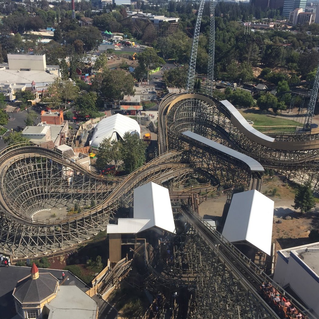 Gold Striker 1
