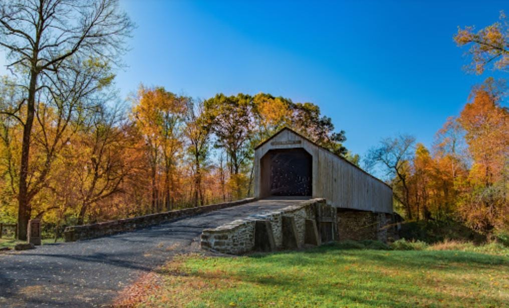 Tyler State Park 1