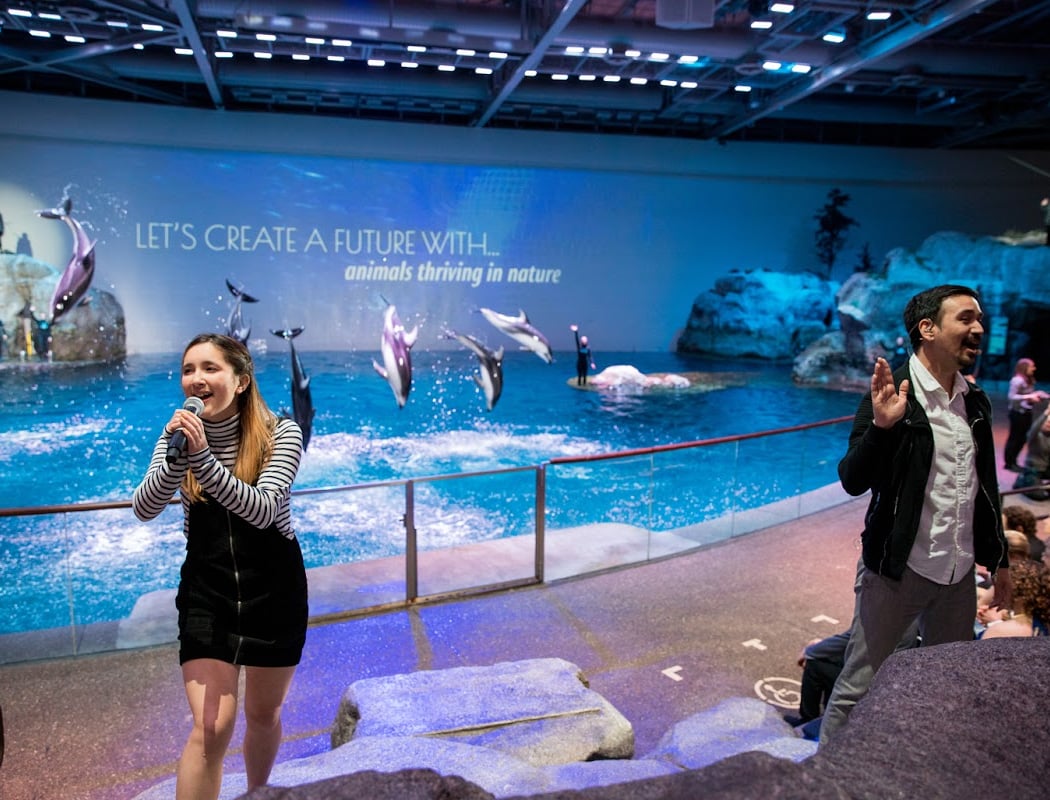 Shedd Aquarium 3