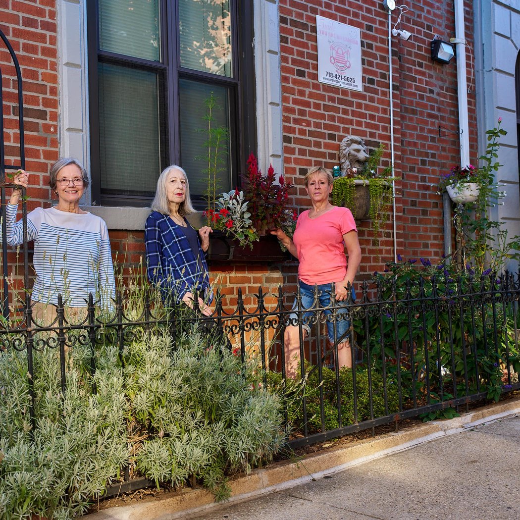 Brooklyn's Greening Heroes 3