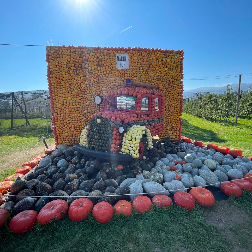 Jucker Farm Pumpkin Exhibition 3