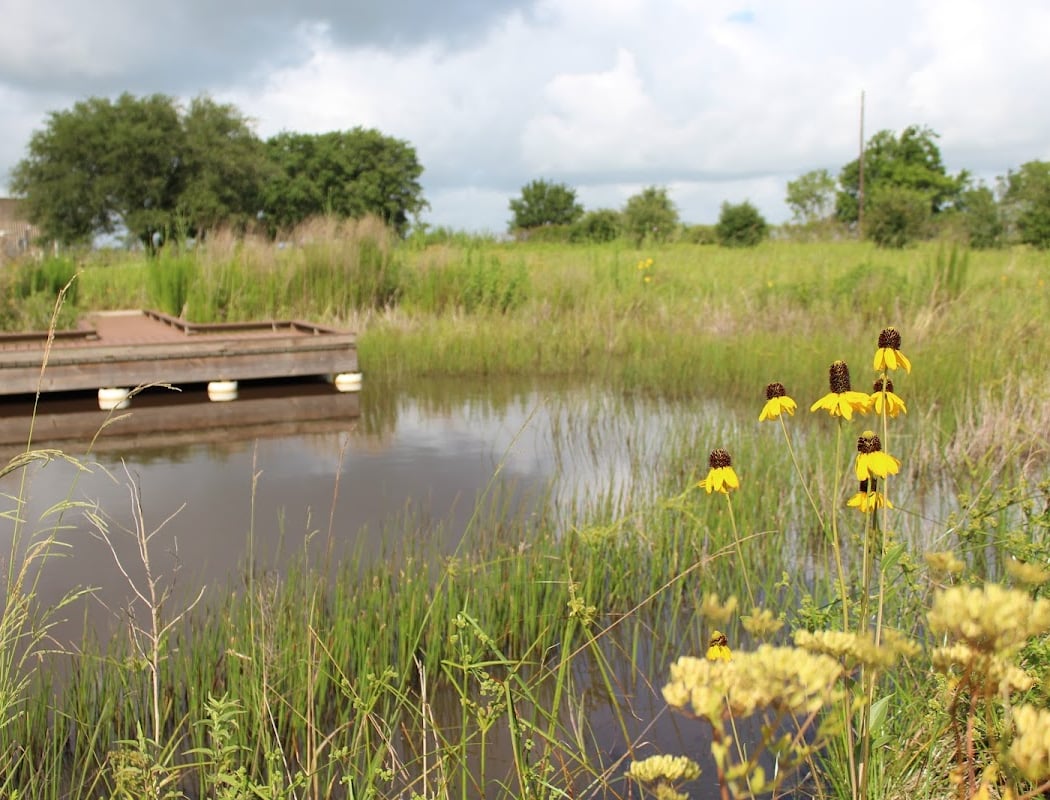 Indiangrass Preserve 3