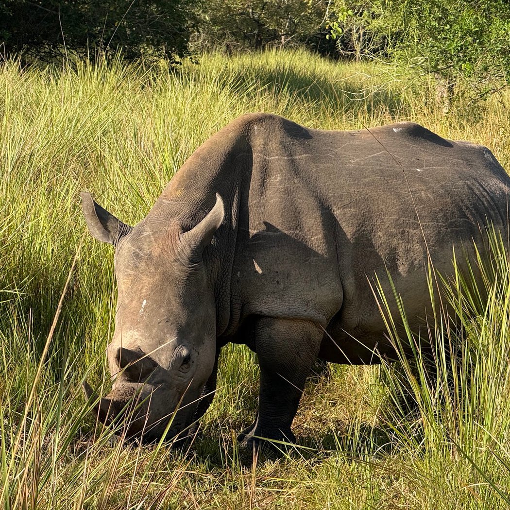 Ziwa Rhino Sanctuary 2