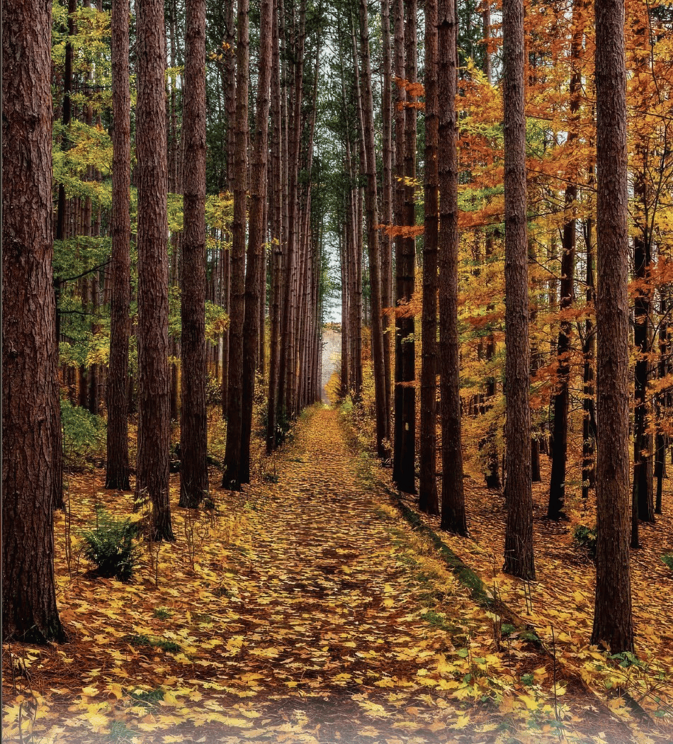 Eco-Book Club & Hike 1