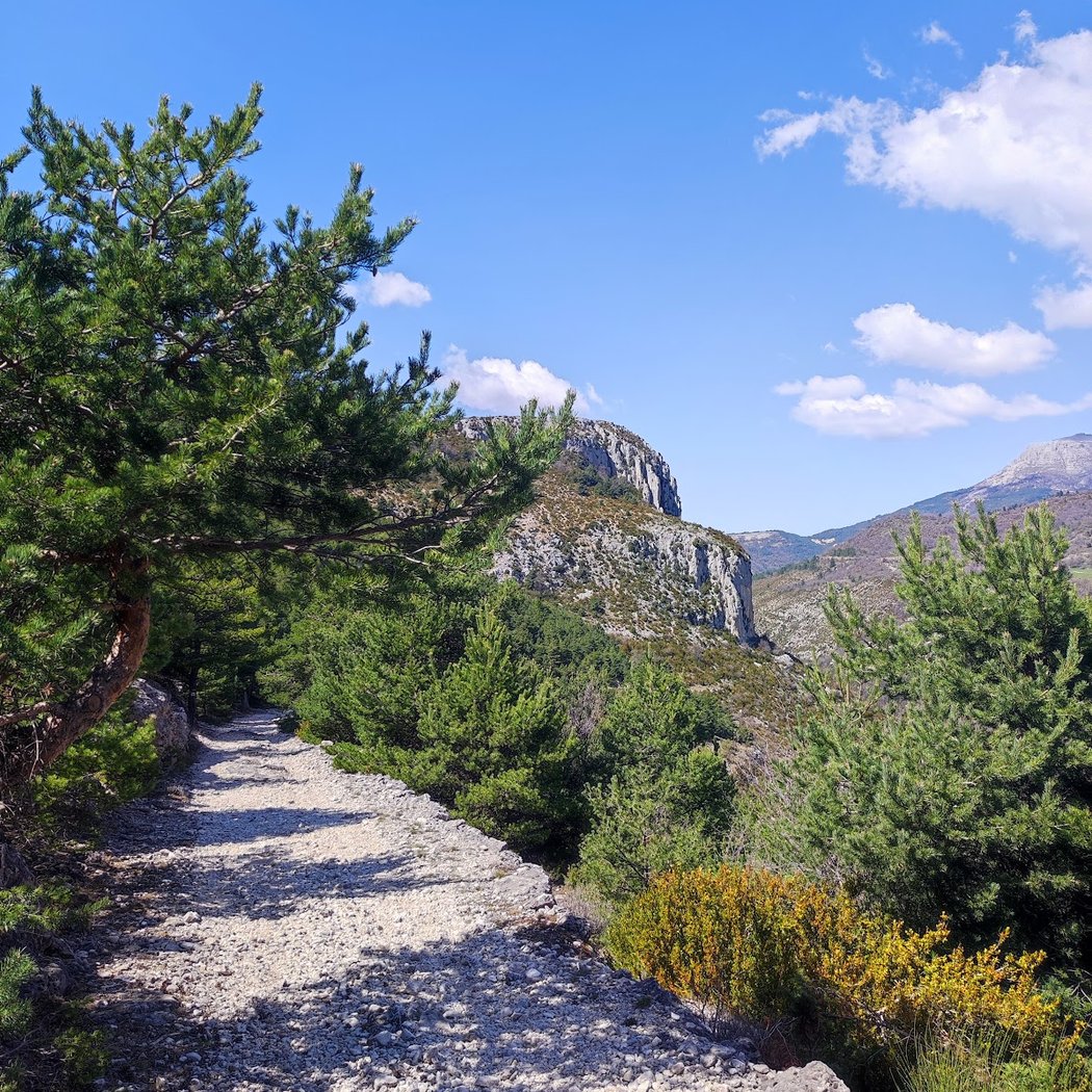Sentier Découverte de Châteauneuf Les Moustiers 1