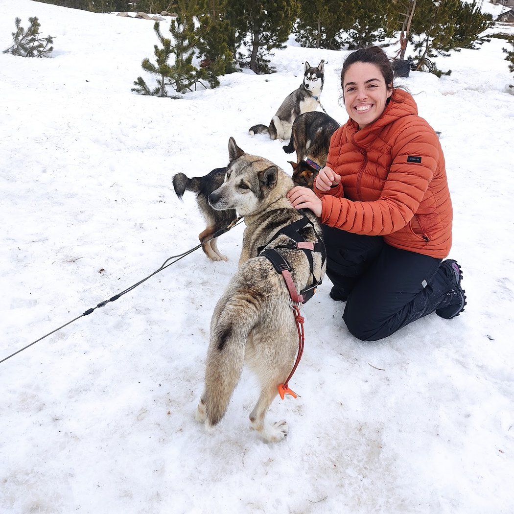 Les traineaux de la vallée des ours 3
