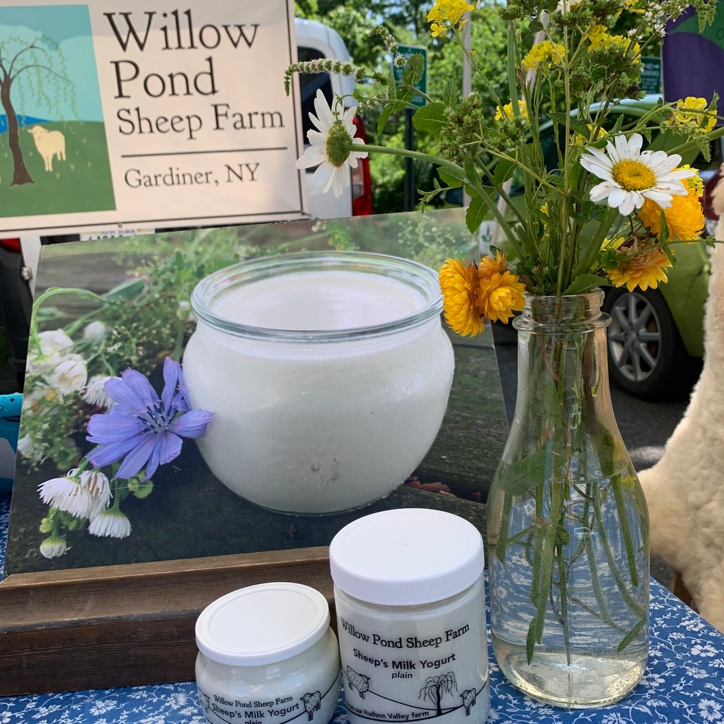 Willow Pond Sheep Farm 1