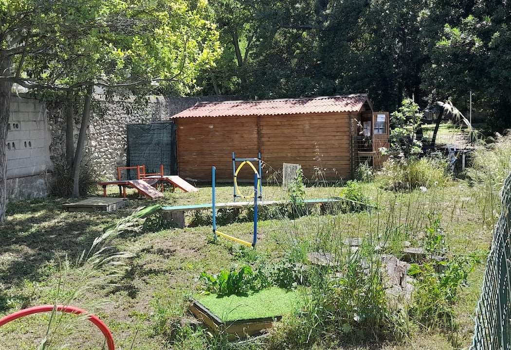 Club Canin du Soleil 3