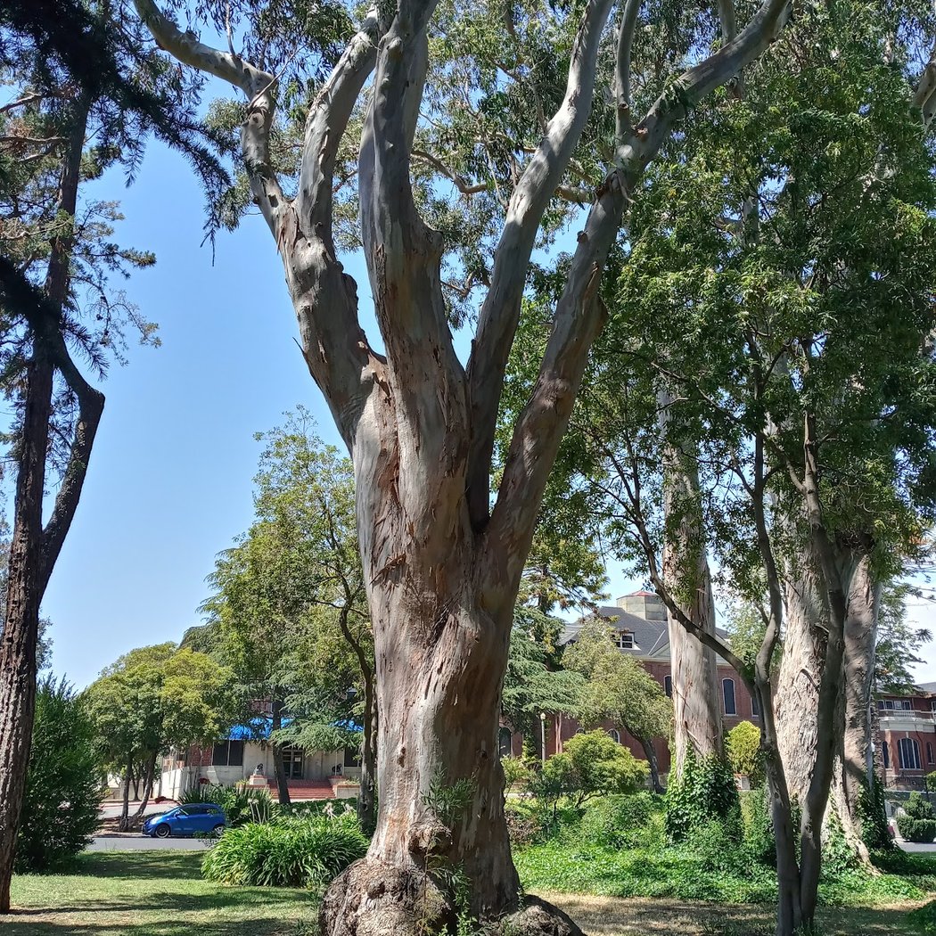 Alden Park 2