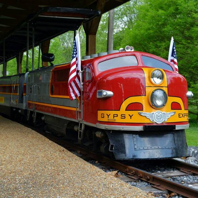 Gypsy Express Mini-Train Rides 2