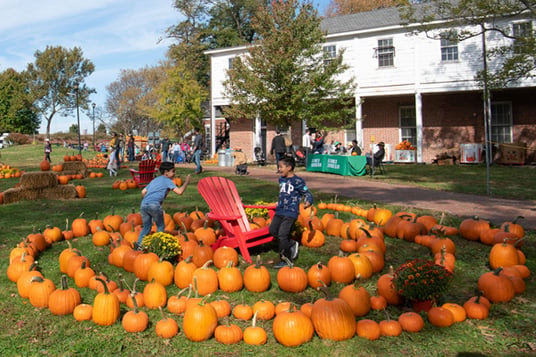 Pumpkin Point 1