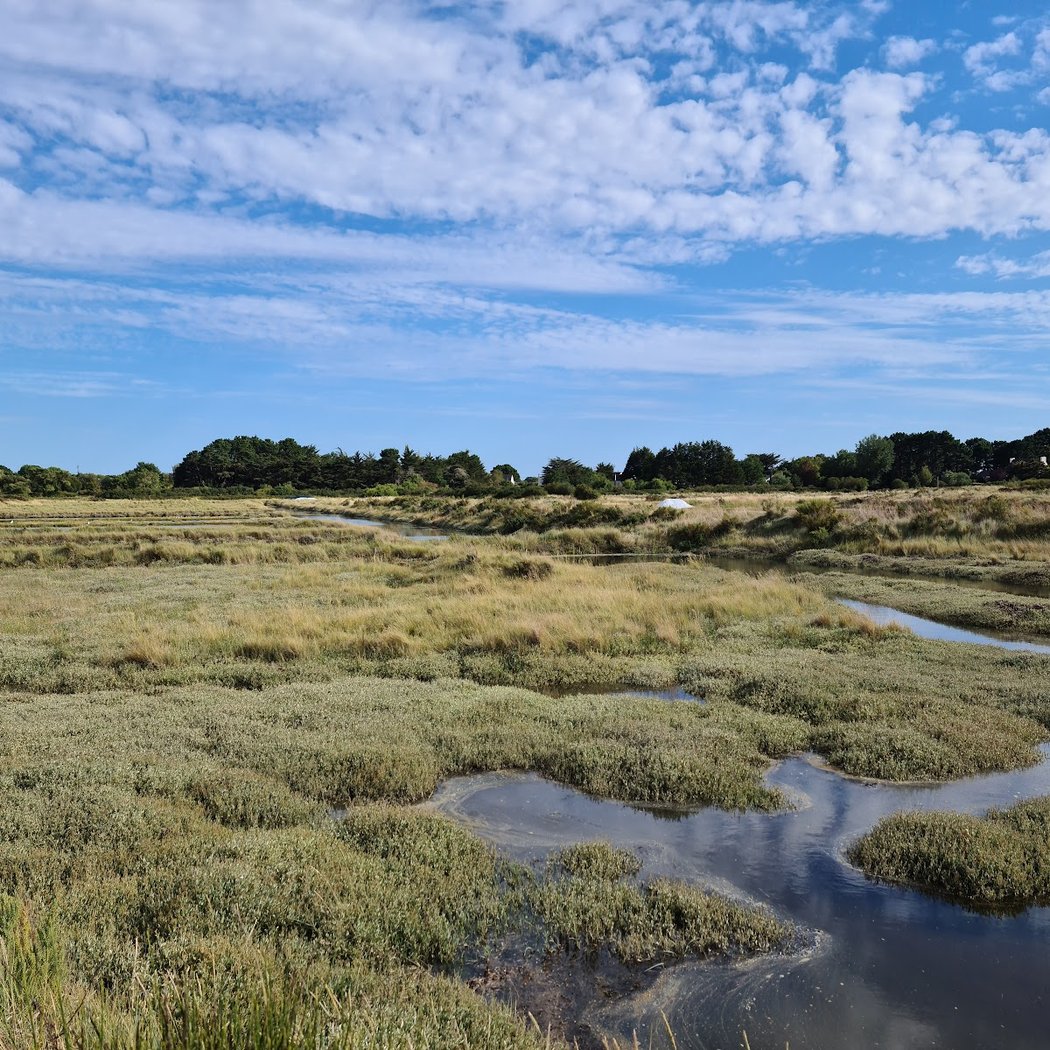 Salt marshes of Saint Armel 3