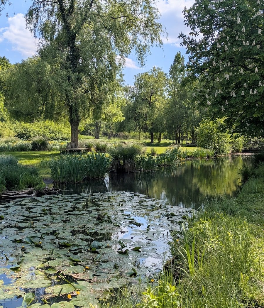 Anglais Garden 2