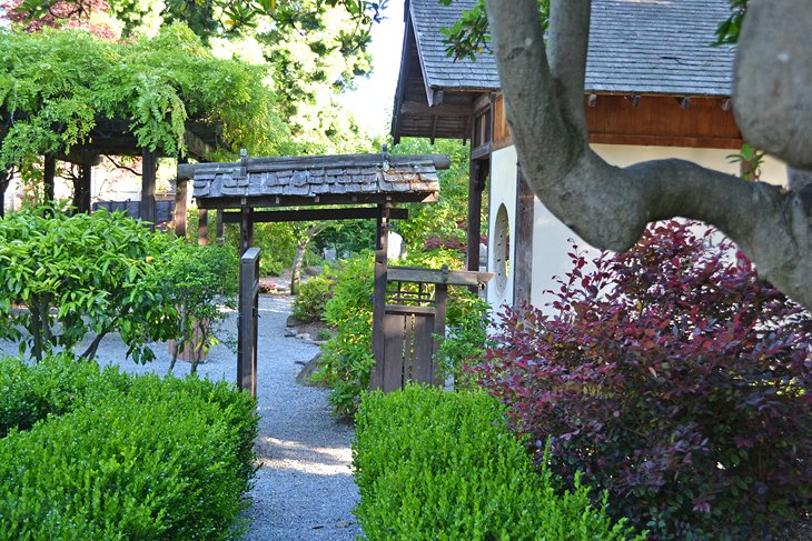Shinn Historical Park and Arboretum 2