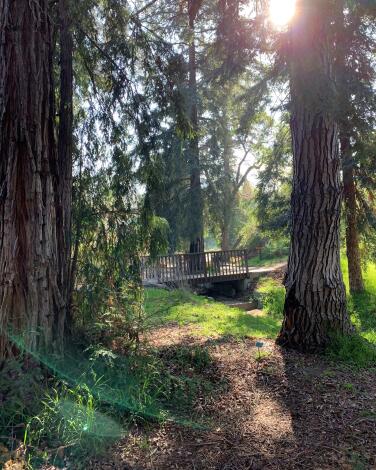 Botanic Gardens Dr 1