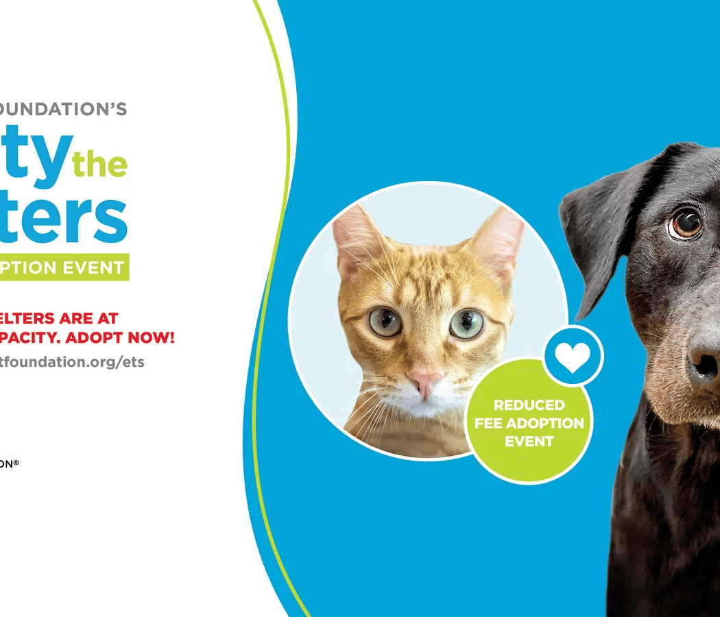 Bissell Pet Foundation: Empty the Shelters 2