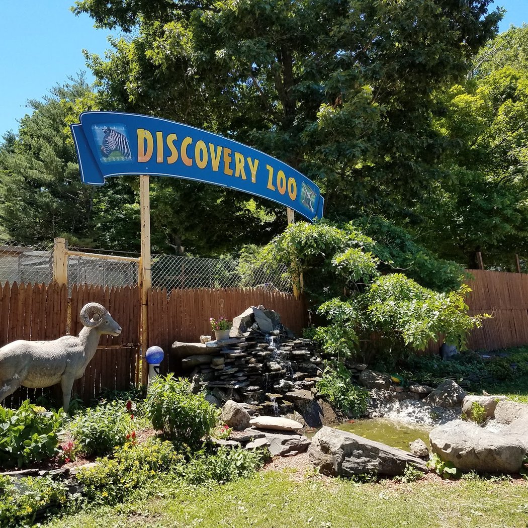 Bailiwick Animal Park and Riding Stables 3