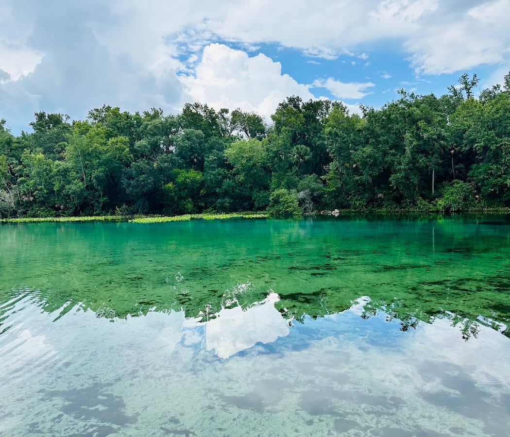 Alexander Springs Recreation Area 1