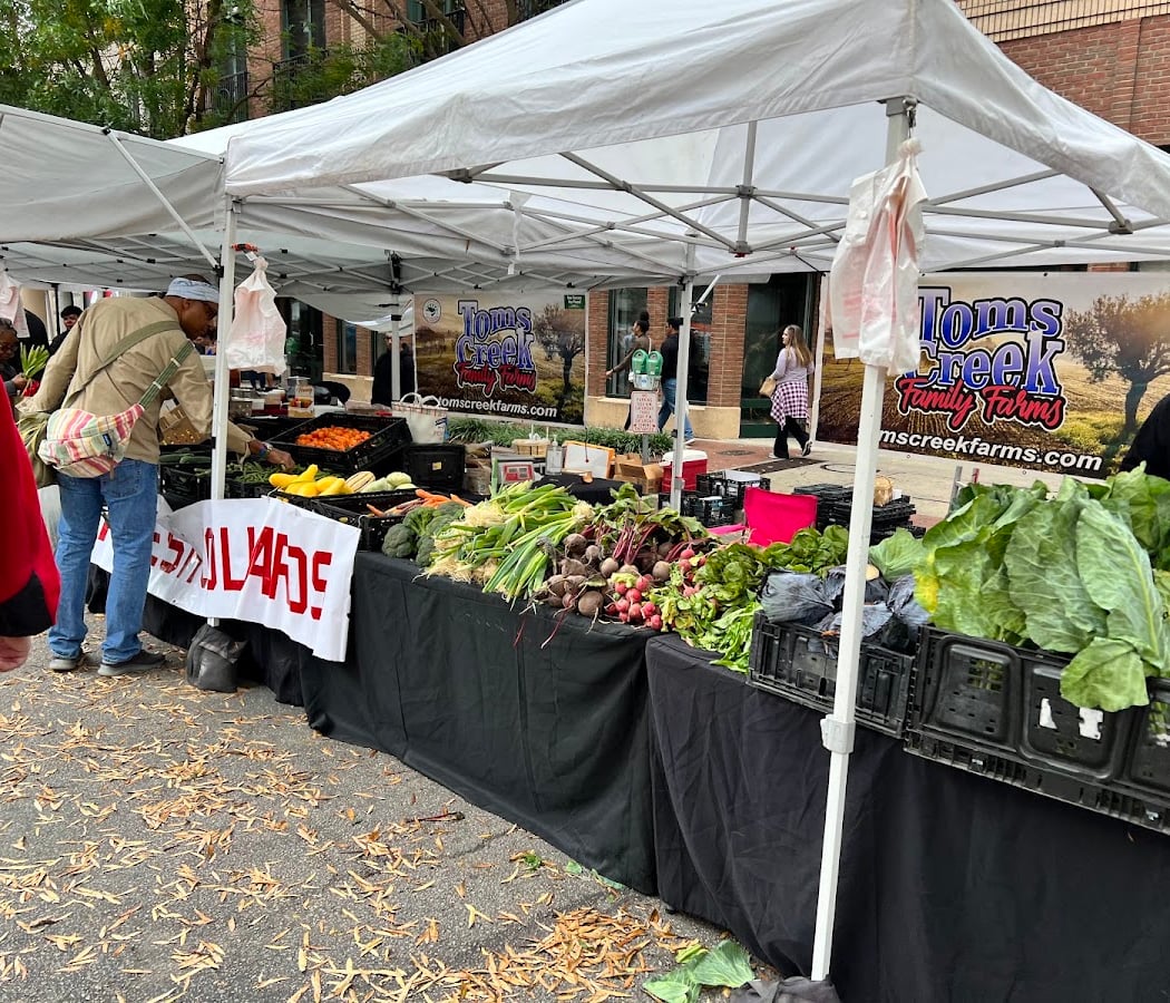 Soda City Market 3