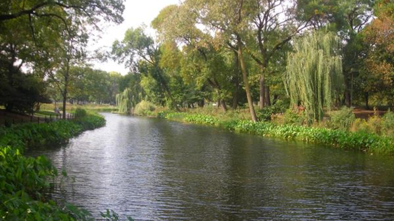 Humboldt Park Natural Area Stewardship Day 1