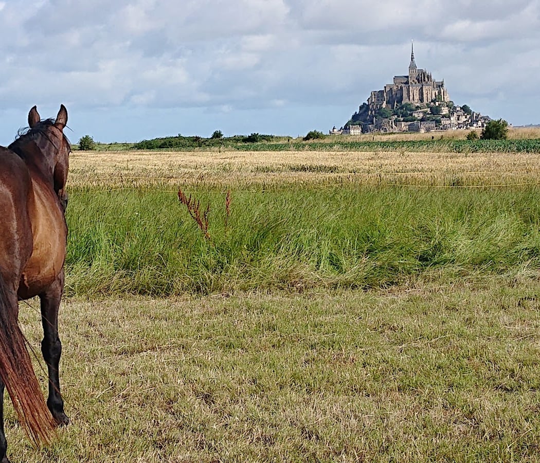 Cheval Plaisir Mont Saint Michel 3