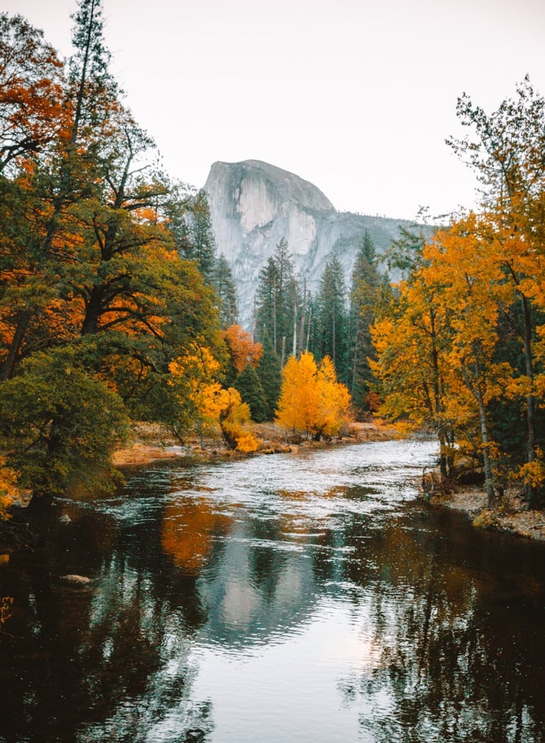 Yosemite Valley Lodge 1