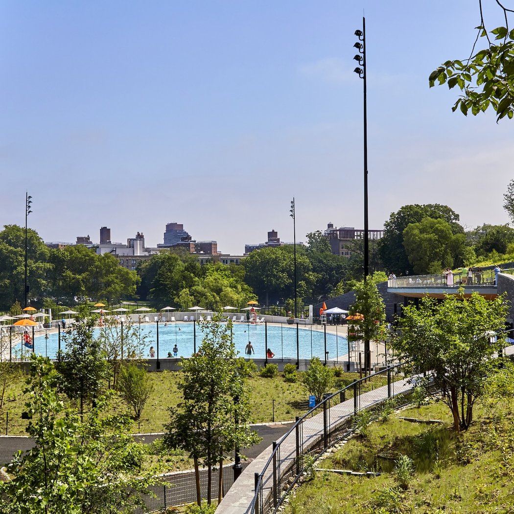 Gottesman Pool 3