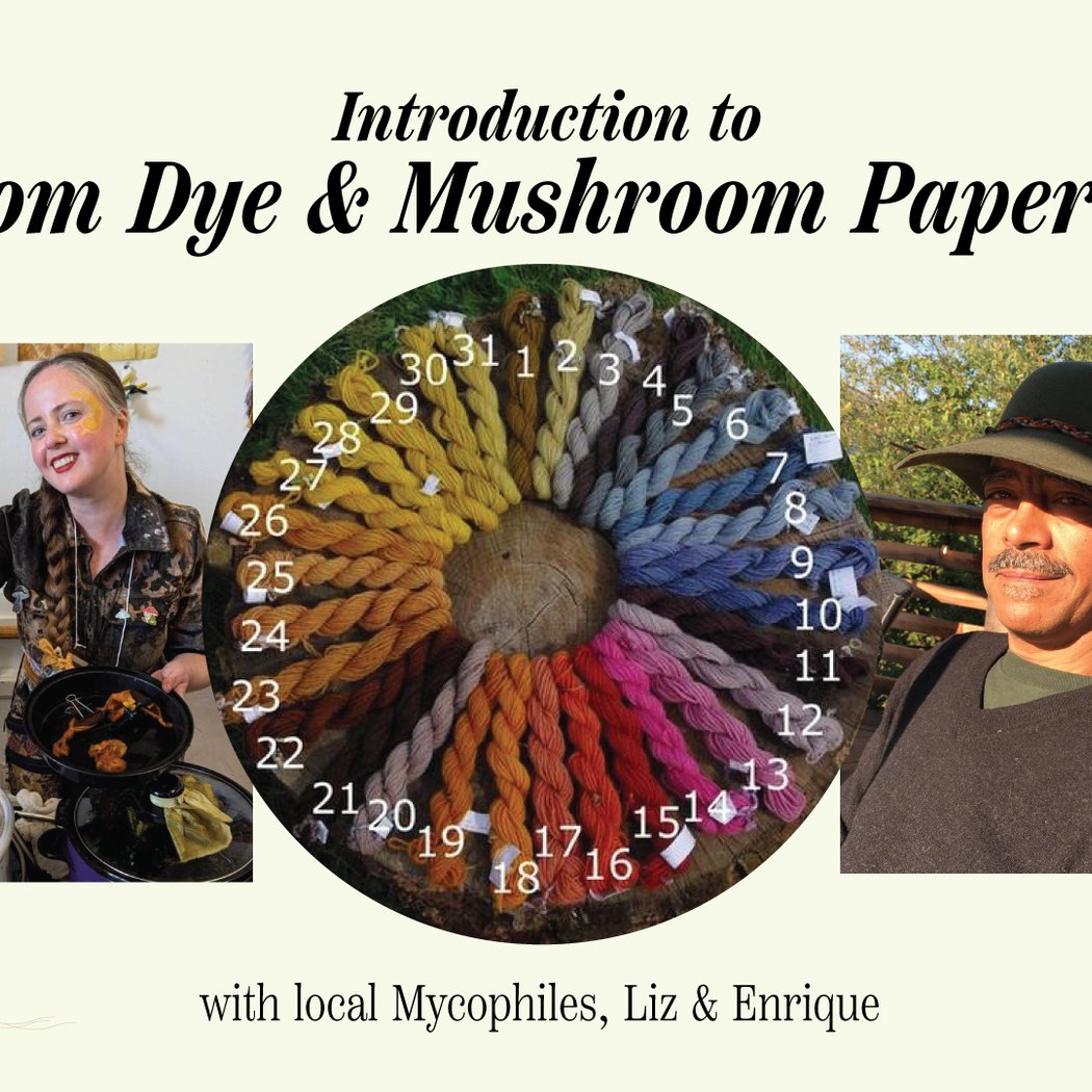 Introduction To Mushroom Dye And Mushroom Paper Making 1