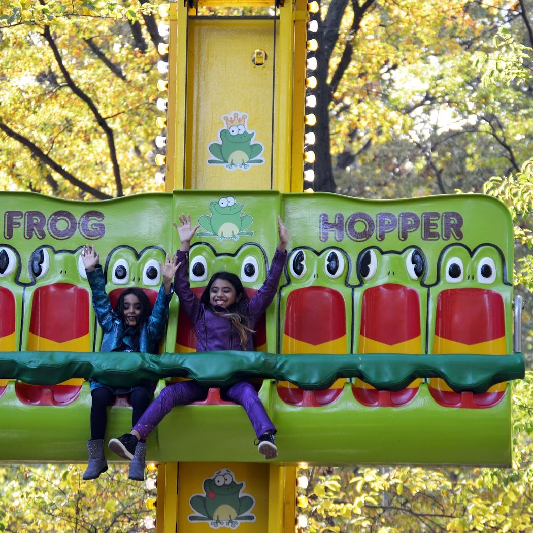 Forest Park Carousel Amusement Village 2