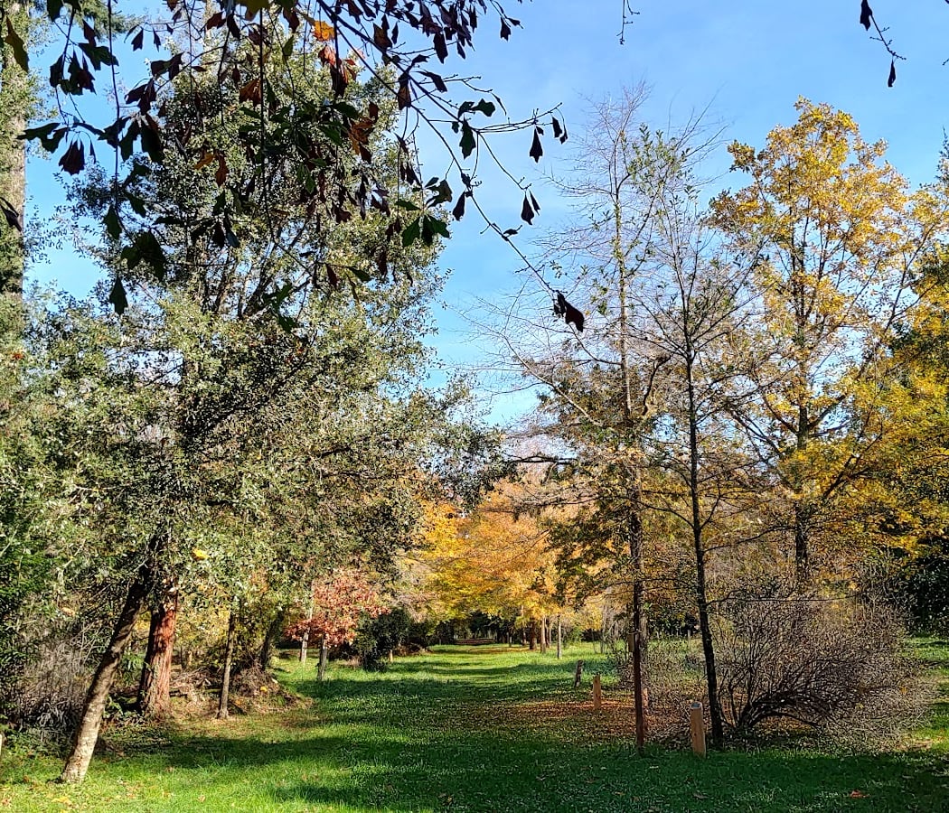 arboretum de Ripaille 2