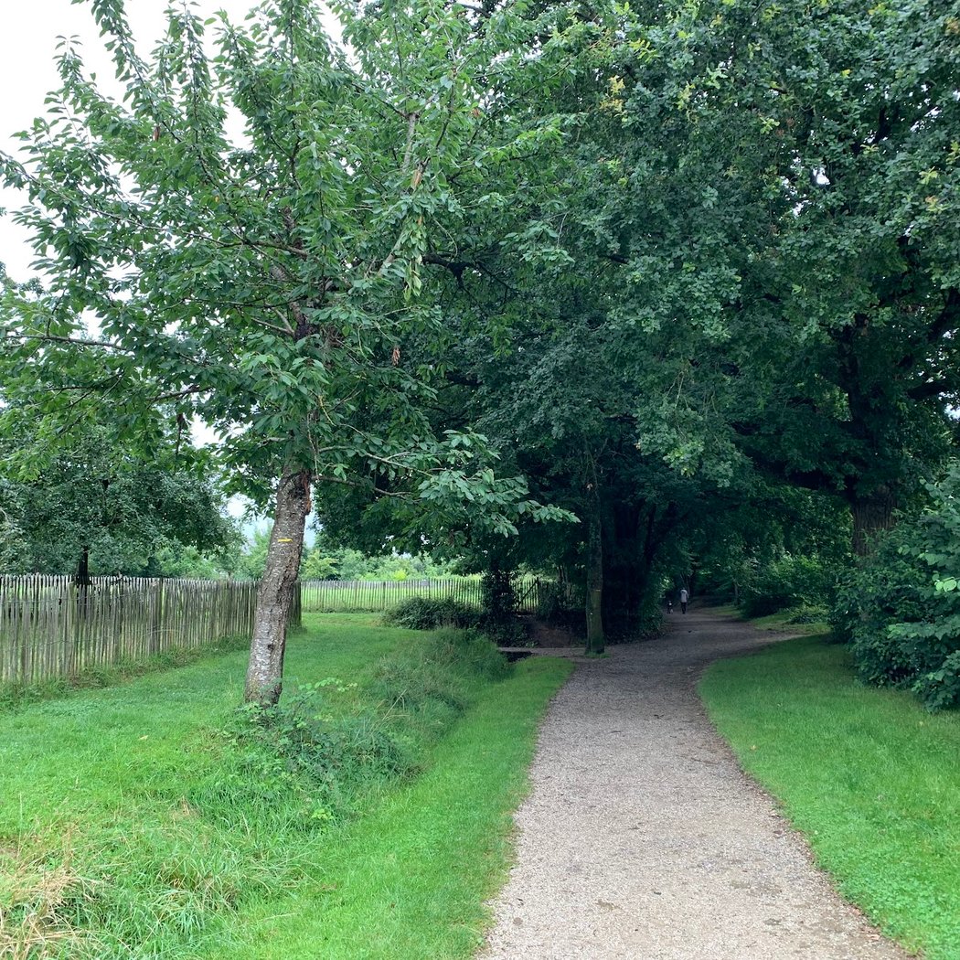 Parc Du Landry 3
