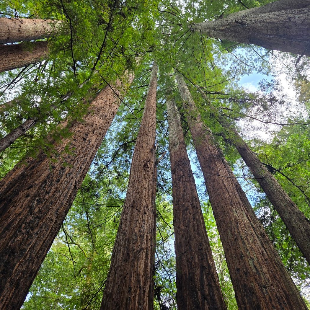 The Madeleine Sone Wildlife Preserve 1